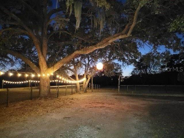 8132 Honeybee Lane - Photo 1