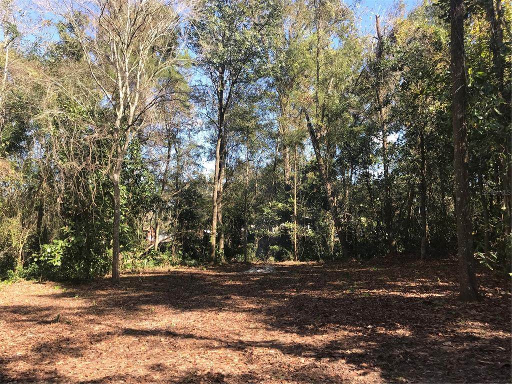  County Road 656 - Photo 1