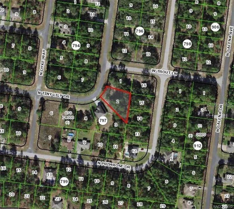 7991 N Tiny Lily Drive - Photo 1