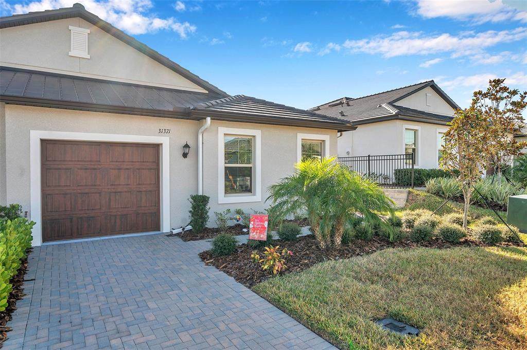 31371 Cabana Rye Avenue - Photo 1