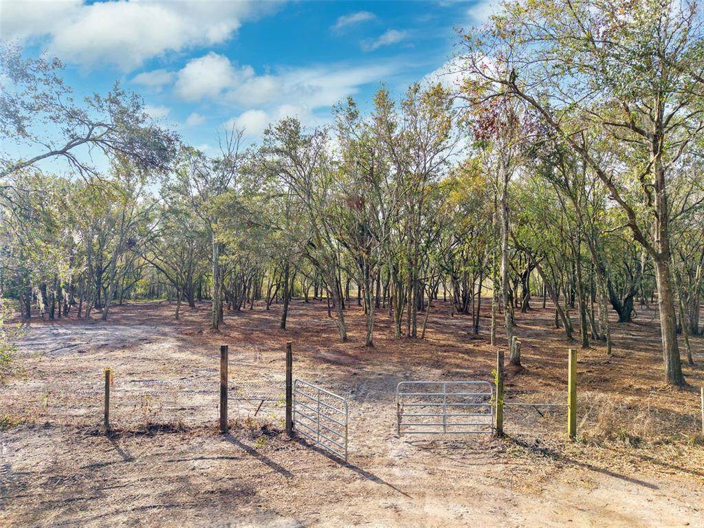  Justin Lane - Photo 1