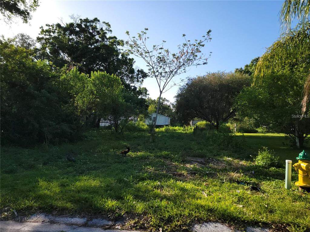 117 4TH Street - Photo 1