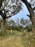11644 Us Highway 301 - Photo 3