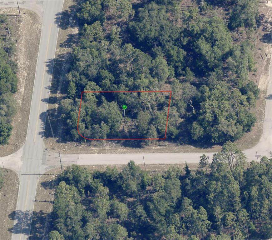 2743 Dellwood Street - Photo 1