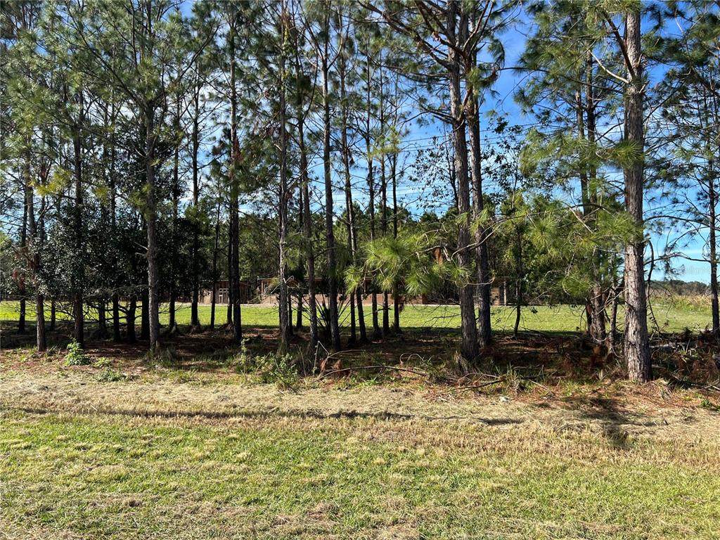 17609 Bledsoe Loop - Photo 1