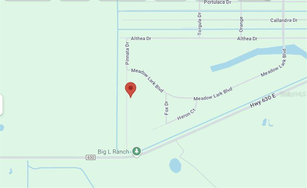 Pinnata Drive - Photo 1