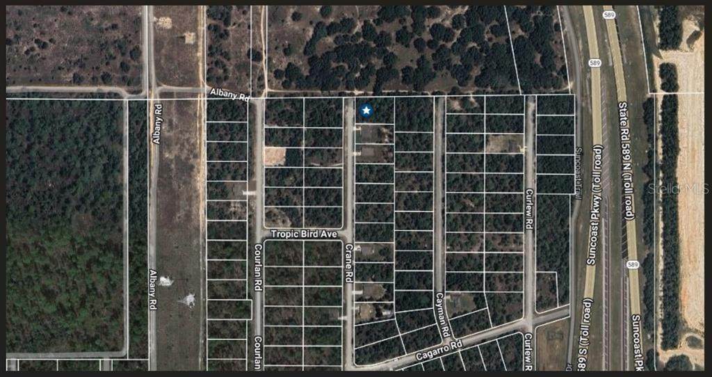 16492 Crane Road - Photo 1