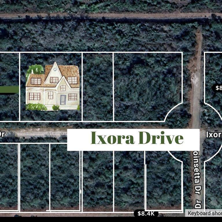 2810 Ixora Drive - Photo 1