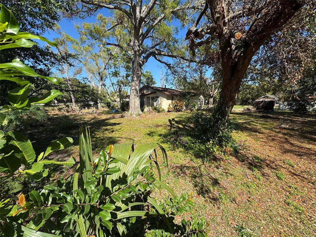 1165 Wyatt Street - Photo 1