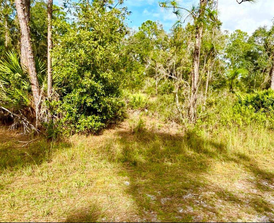 Oleander Drive - Photo 1
