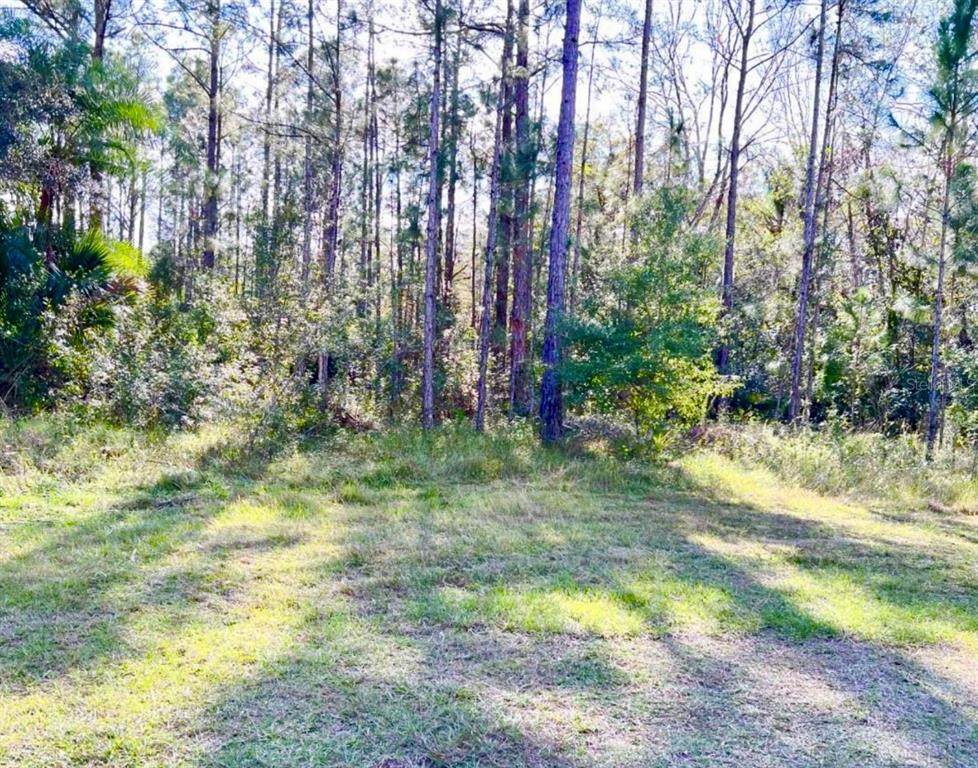 1011 Indian Lake Drive - Photo 1