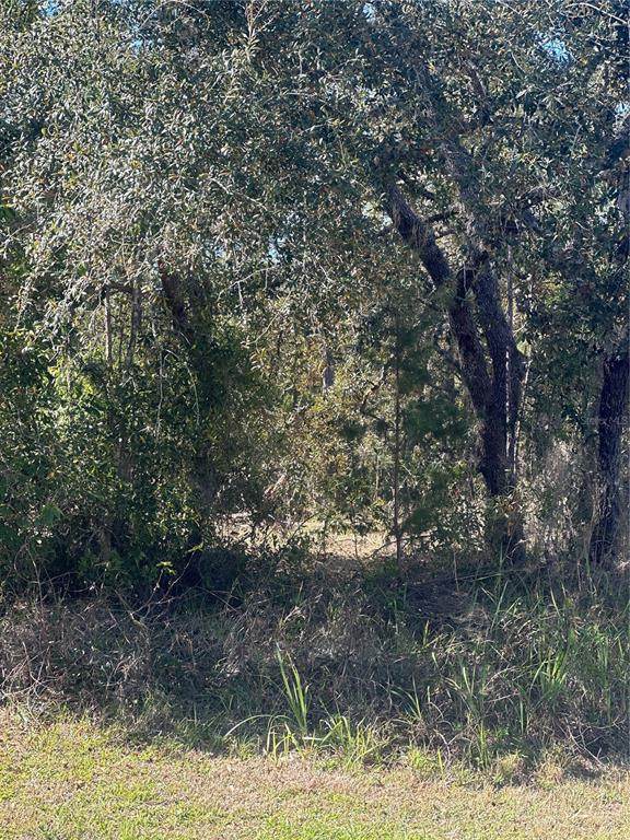 7 Sweetbay Court - Photo 1