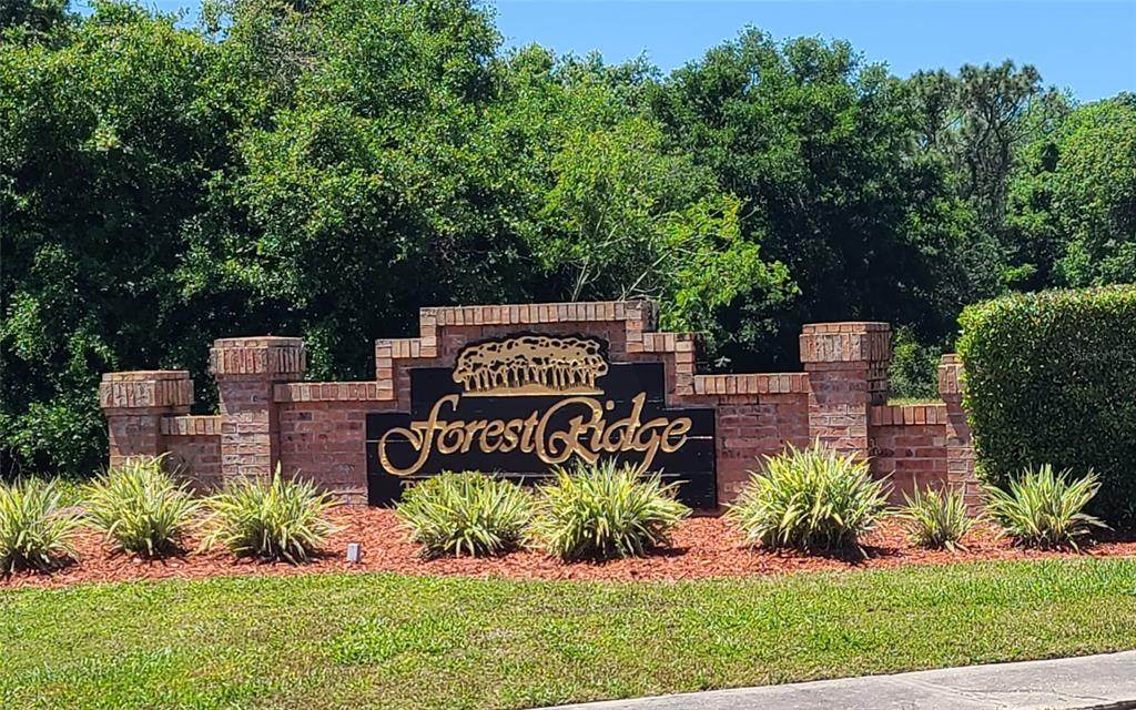 100 Wood Dove Avenue - Photo 1