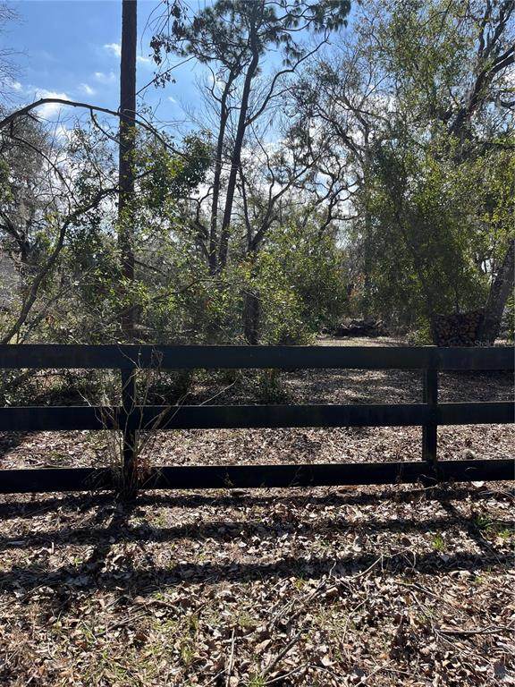  Westlake Blvd - Photo 1