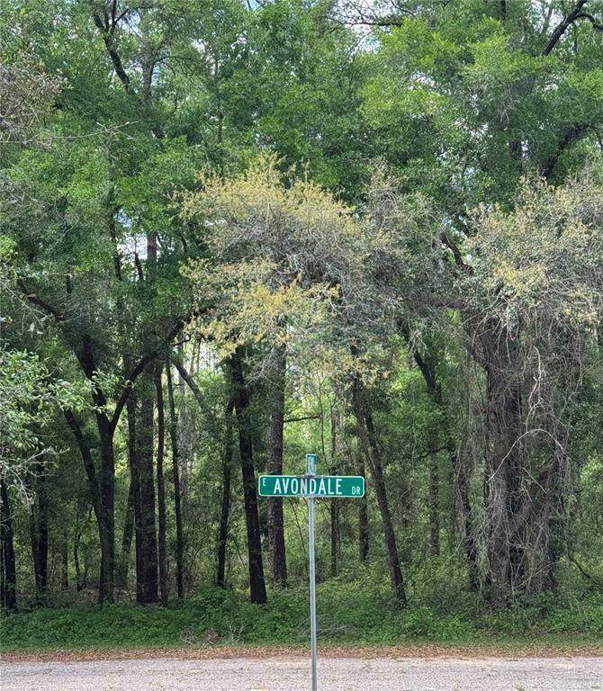 433 Avondale Drive - Photo 1