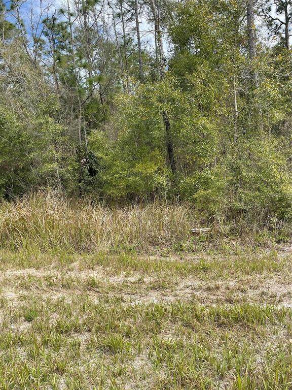 14139 Pigeon Road - Photo 1