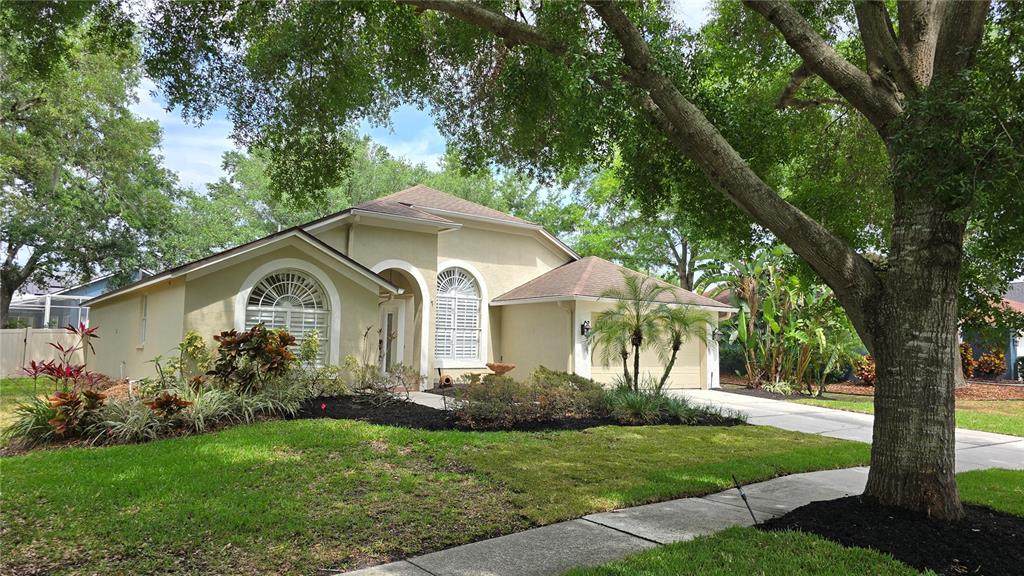 15209 Arbor Hollow Drive - Photo 1