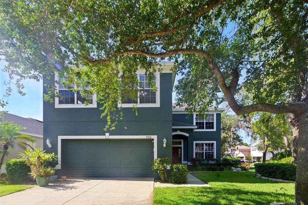 7310 Brightwater Oaks Drive - Photo 1