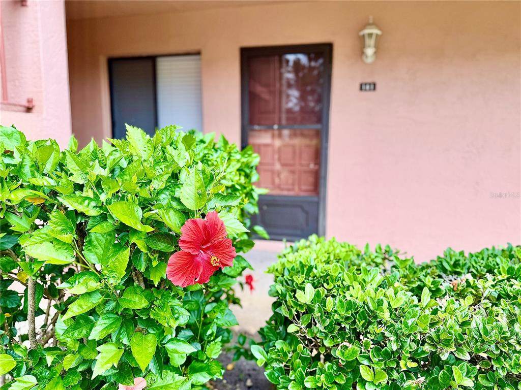 141 Lakeside Drive - Photo 1