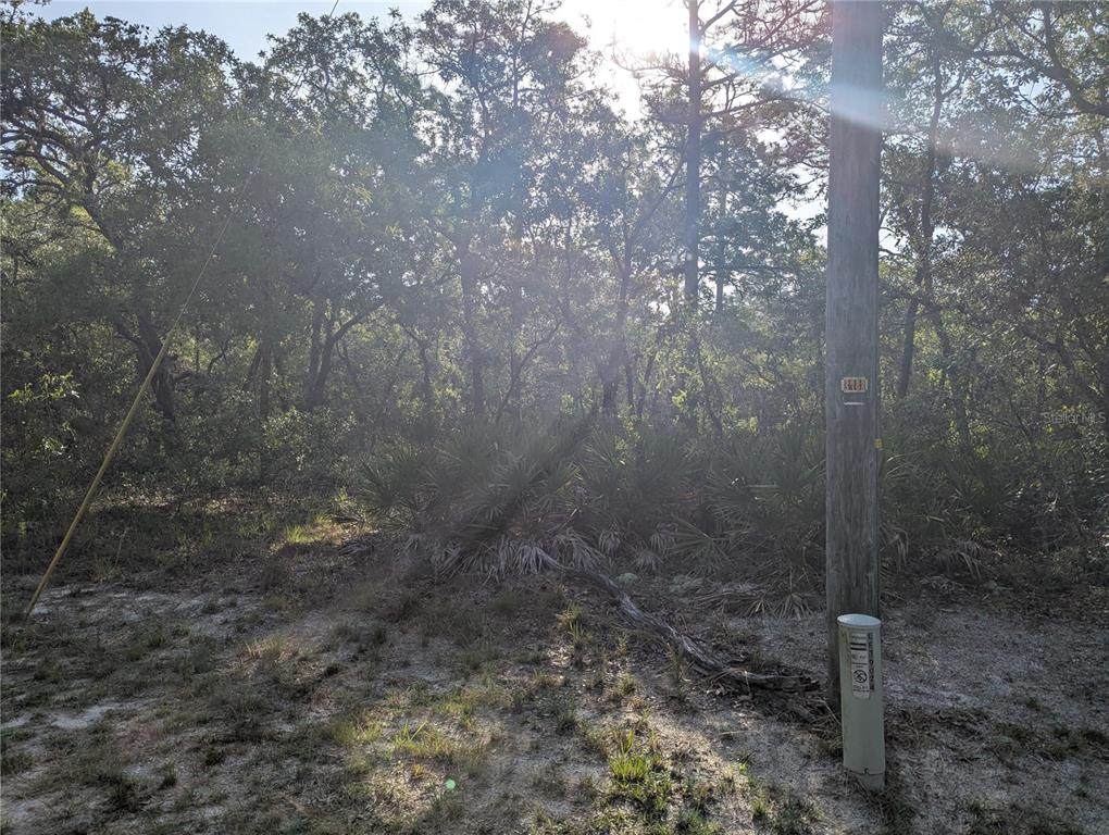 19036 Retriever Road - Photo 1
