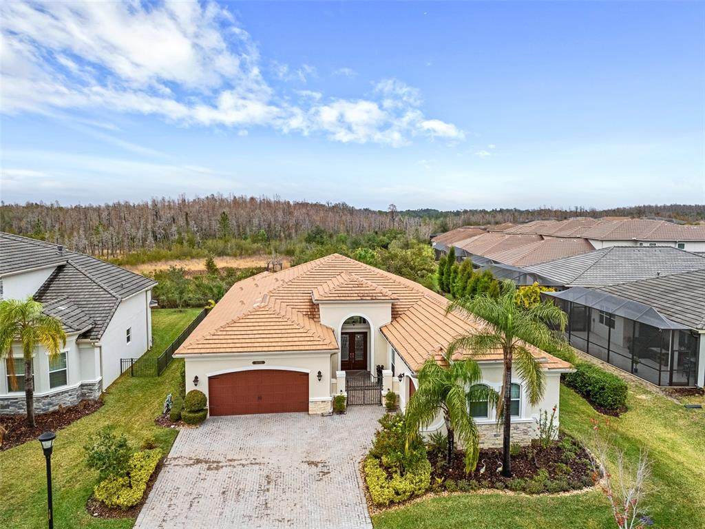 30715 Tumbleberry Street - Photo 1