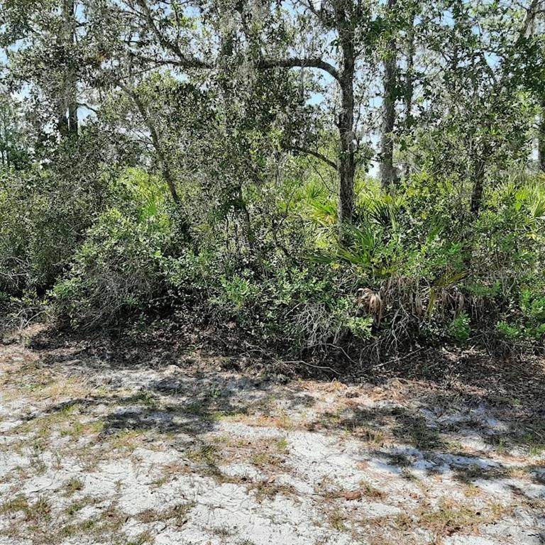 211 Camellia Drive - Photo 1