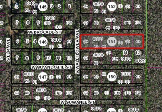 10006 Brocade Street - Photo 1