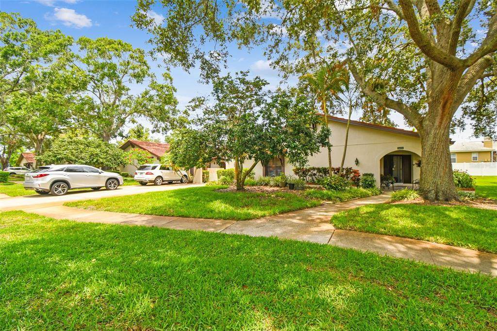 3476 Tarpon Woods Boulevard - Photo 1