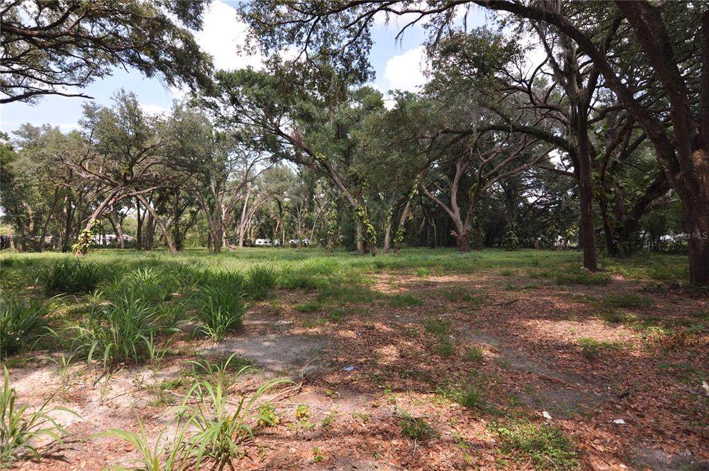 6734 20TH Street - Photo 1