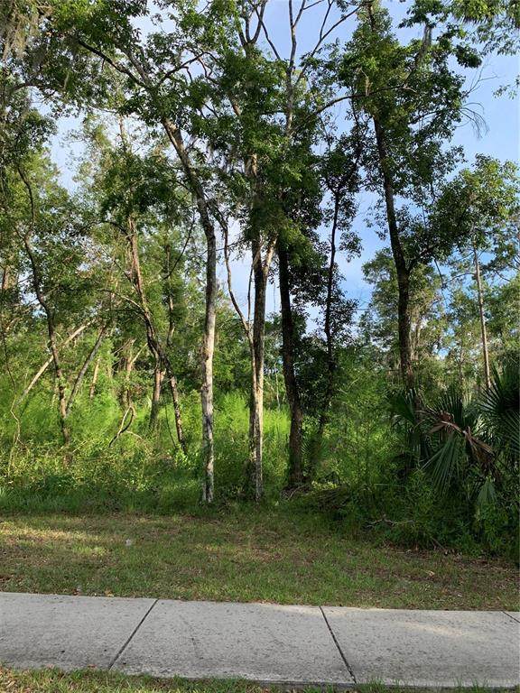 625 Dr M L King Jr Boulevard - Photo 1