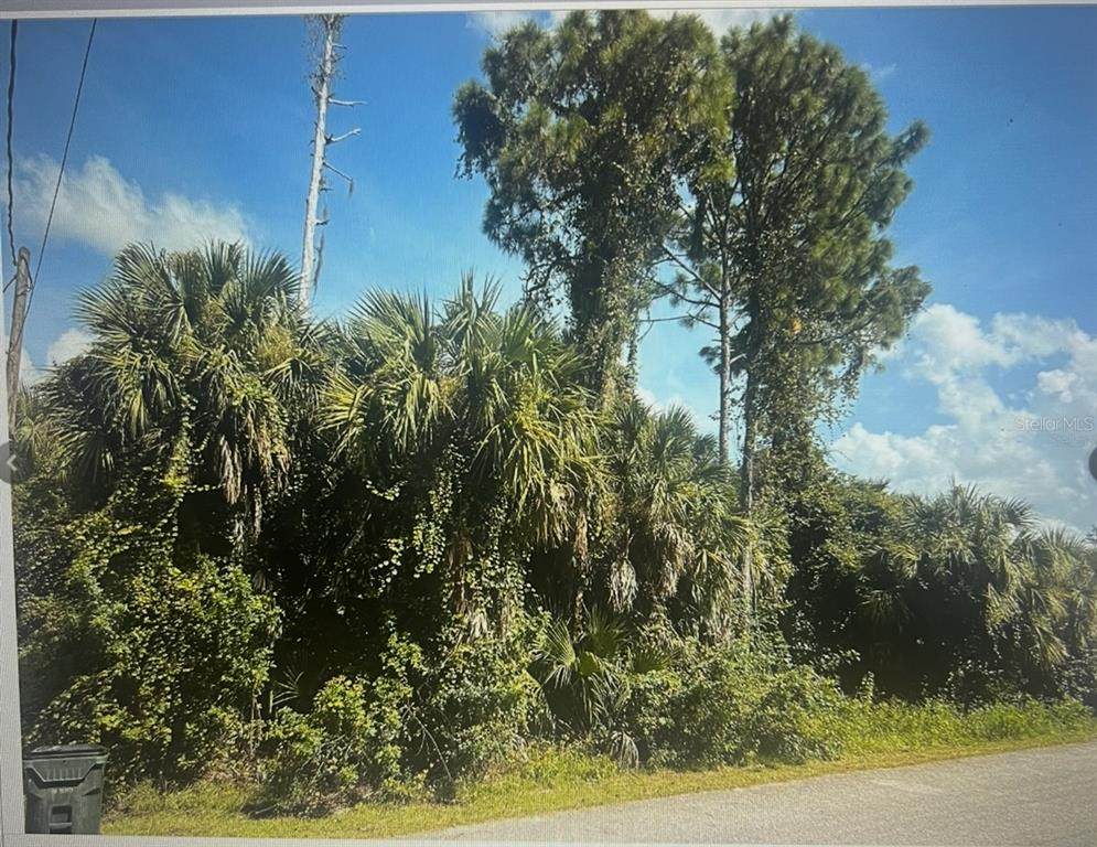  New Milford - Photo 1