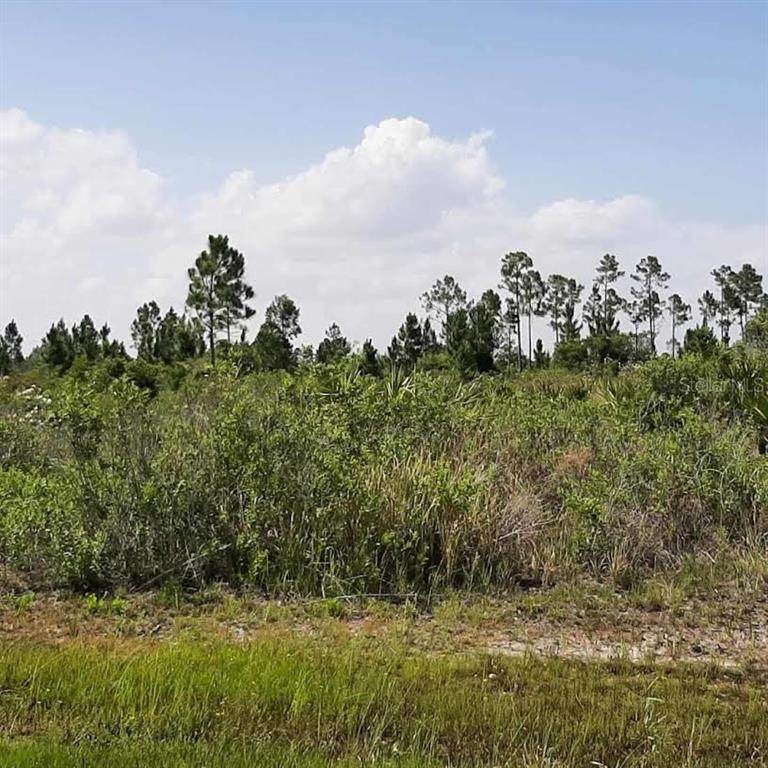 414 Calendula Drive - Photo 1