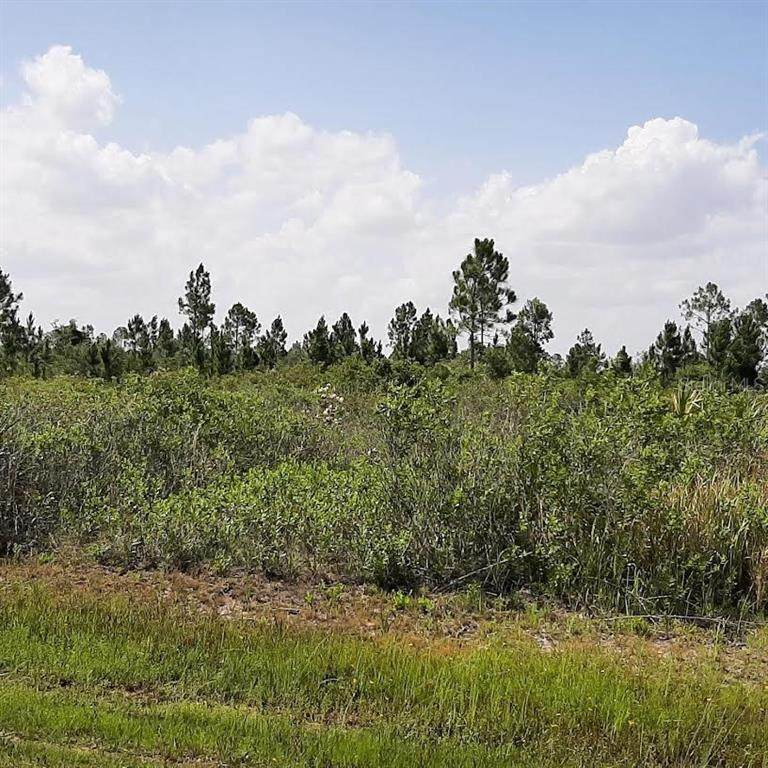 412 Calendula Drive - Photo 1