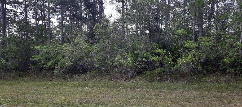 421 Azalea Drive - Photo 1