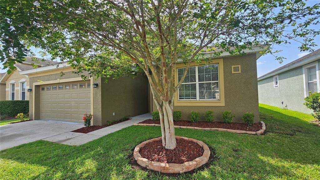 2528 Ladoga Drive - Photo 1