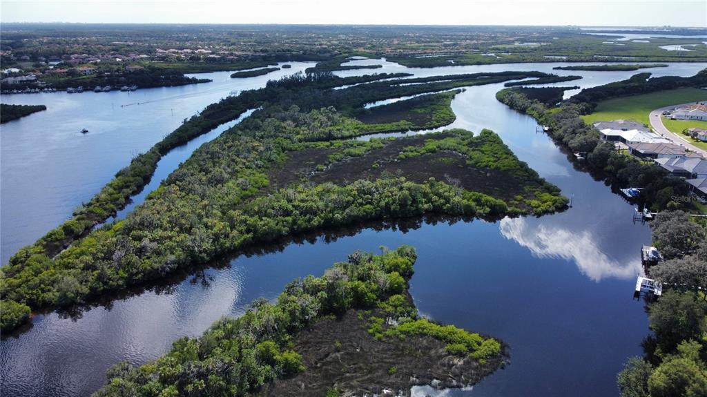 11609 Bayou Cove - Photo 1