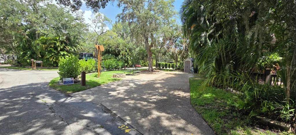 374 Bear Trail - Photo 1