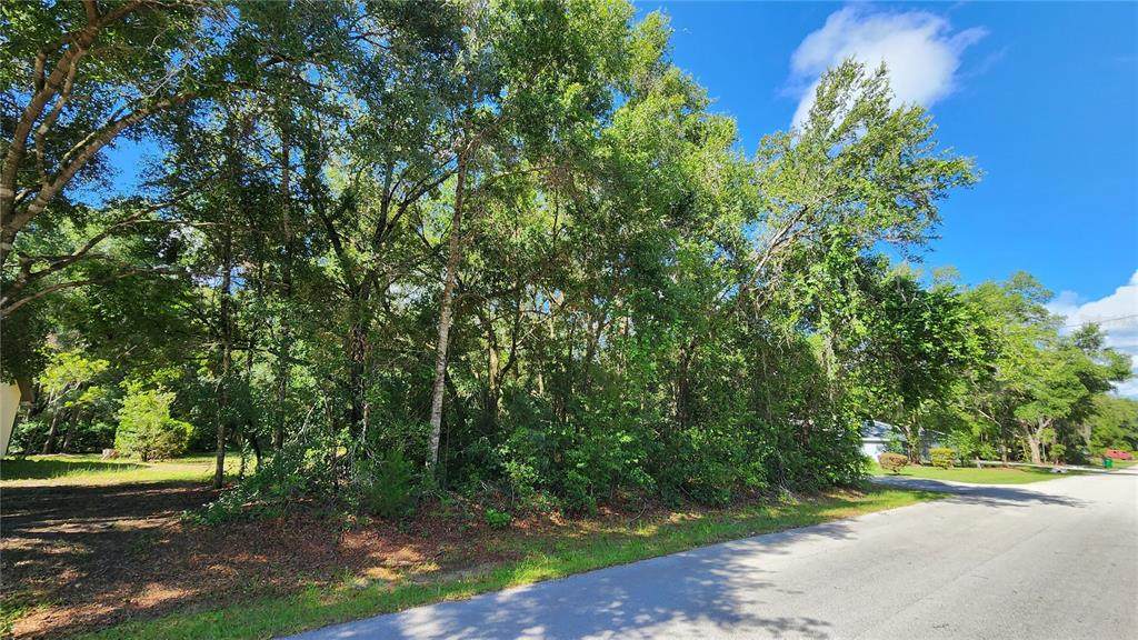 4104 Scotty Street - Photo 1