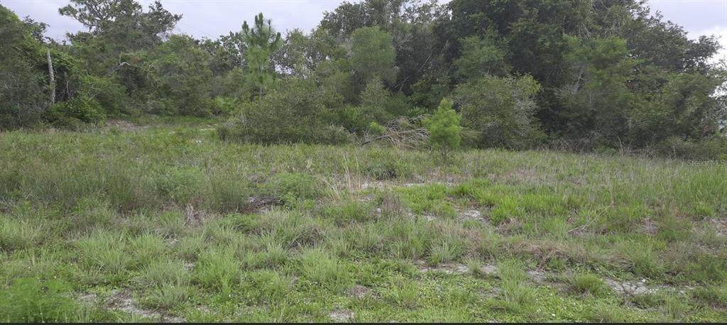  Park Avenue - Photo 1