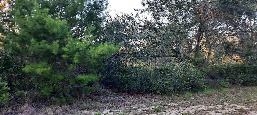 910 Granada Drive - Photo 1