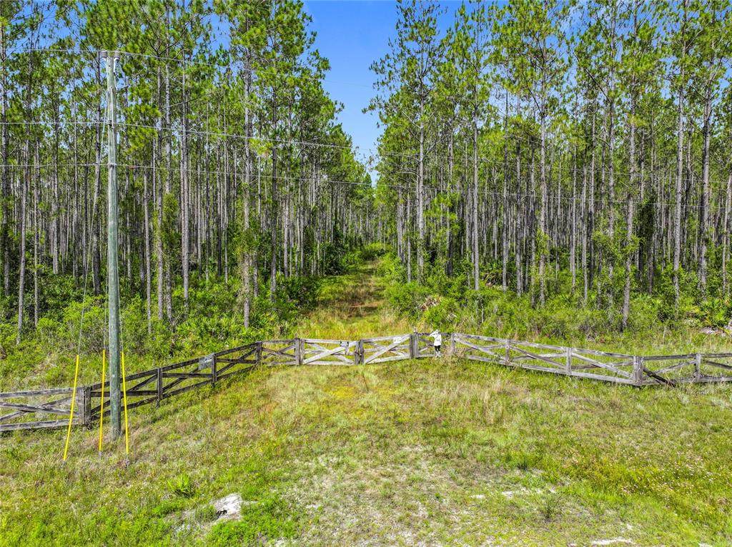 TBD Cr 336 - Photo 1