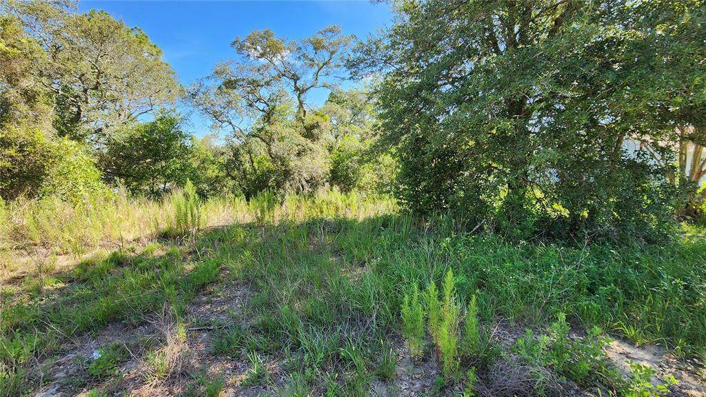 12501 Centennial Street - Photo 1