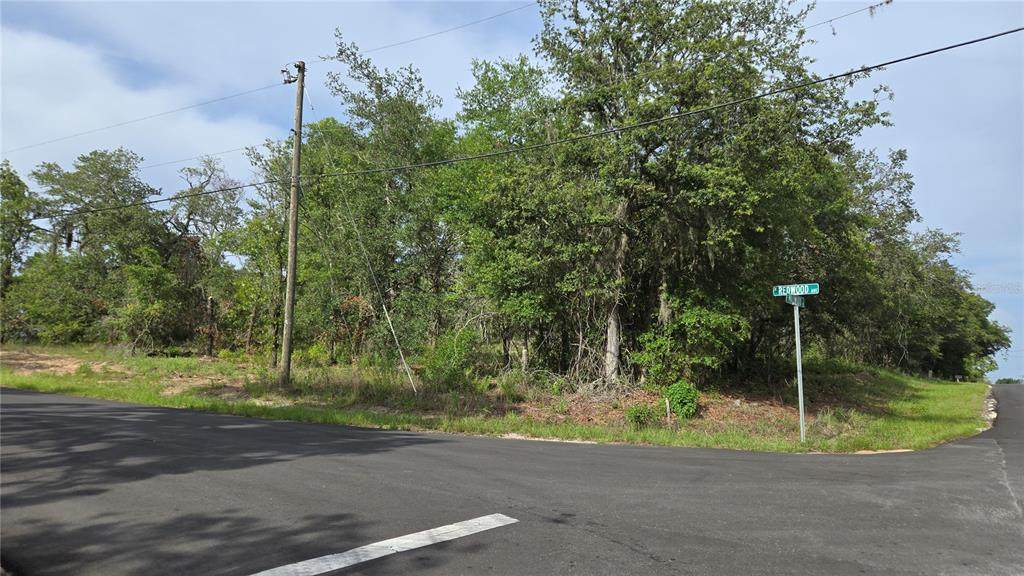 4771 Redwood Avenue - Photo 1