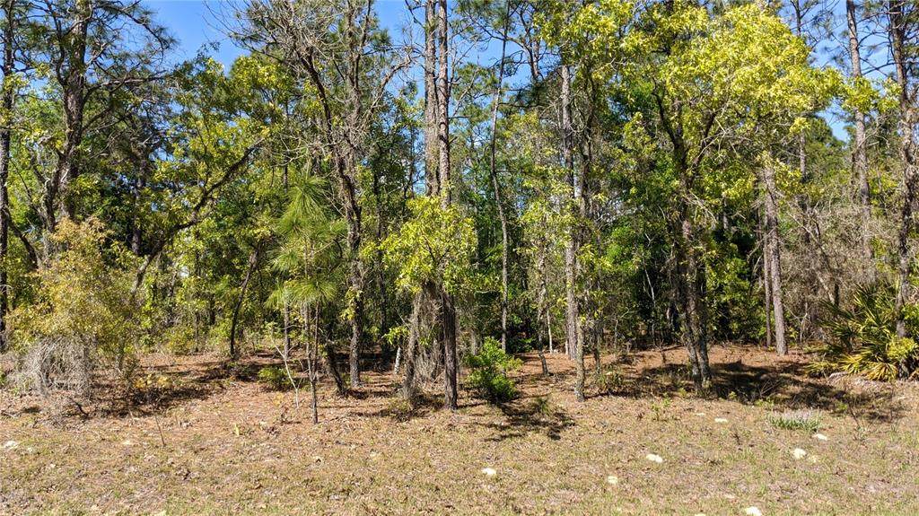 0 97TH Place - Photo 1