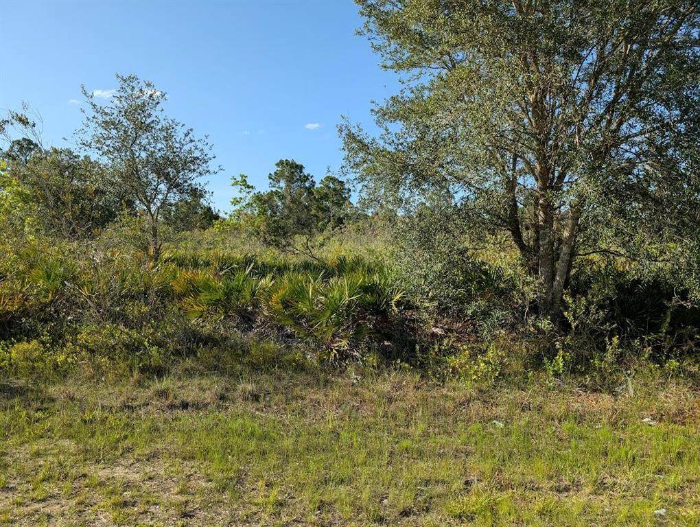 714 Magnolia Drive - Photo 1