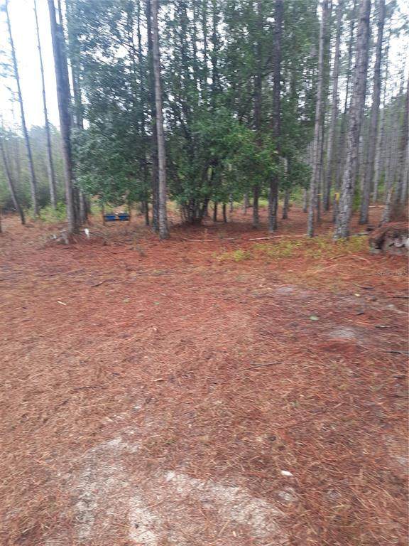 540 326TH Avenue - Photo 1