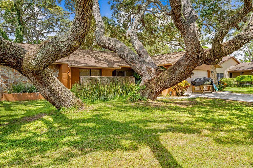 8268 Garrison Street - Photo 1