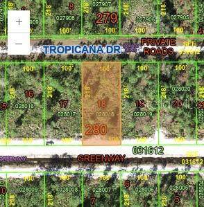 0 Tropicana Drive - Photo 1