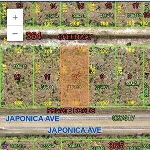 0 Japonica Drive - Photo 1