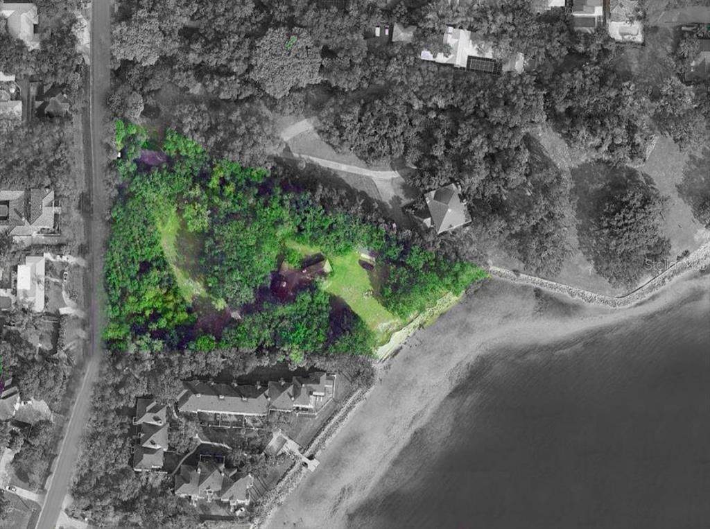 6210 Bayshore Boulevard - Photo 1